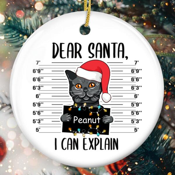 Dear Santa I Can Explain - Black Cat Mugshot - Personalized Custom Pet Lovers Name Xmas Ornament