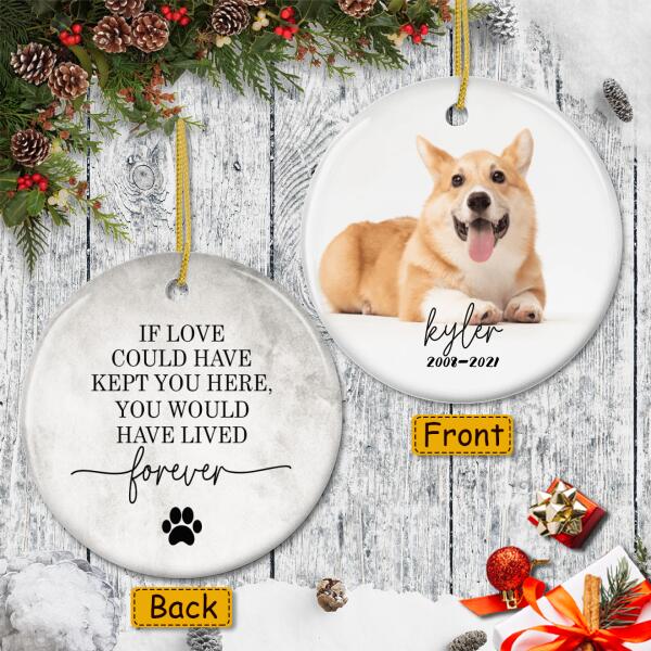 You Would Have Lived Forever - Personalized Pet Memorial Ornament - Loss Of Pet Bauble - Pet Lovers Gift