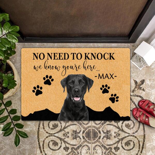 No Need To Knock - We Know You're Here - Personalized Custom Dog Photo & Name Rug Doormat Gift