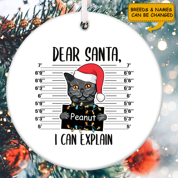 Dear Santa I Can Explain - Black Cat Mugshot - Personalized Custom Pet Lovers Name Xmas Ornament