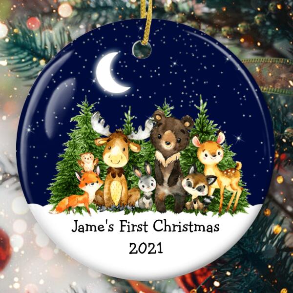 Baby's 1st Christmas - Cute Animals Xmas Gift - Personalized Custom Baby Name Ornament