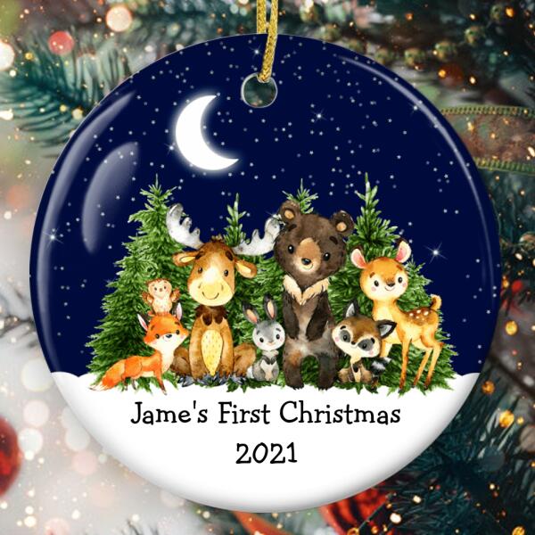 Baby's 1st Christmas - Cute Animals Xmas Gift - Personalized Custom Baby Name Ornament