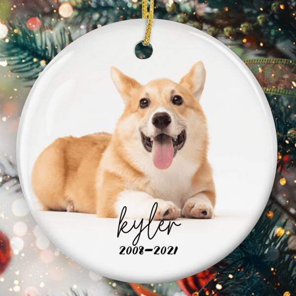 You Would Have Lived Forever - Personalized Pet Memorial Ornament - Loss Of Pet Bauble - Pet Lovers Gift