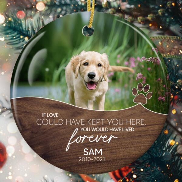 You Would Have Lived Forever - Custom Photo - Pet Lovers Gift - Loss Of Pet Keepsake - Memorial Ornament