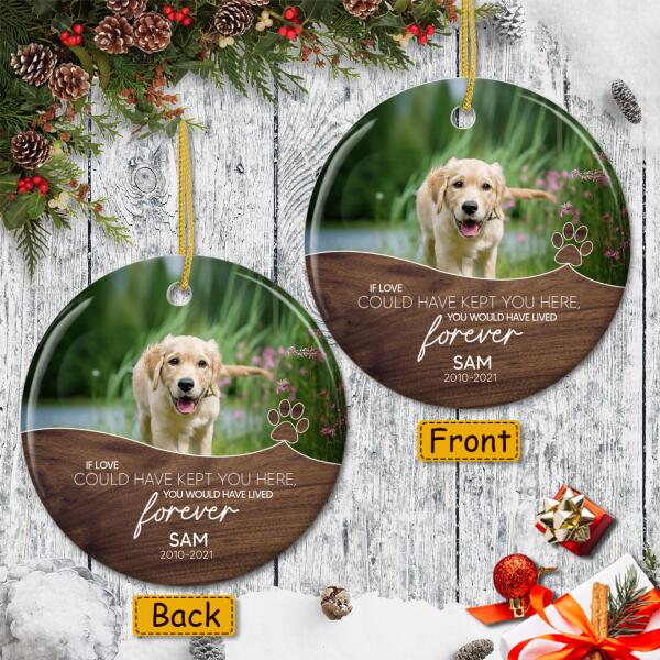 You Would Have Lived Forever - Custom Photo - Pet Lovers Gift - Loss Of Pet Keepsake - Memorial Ornament